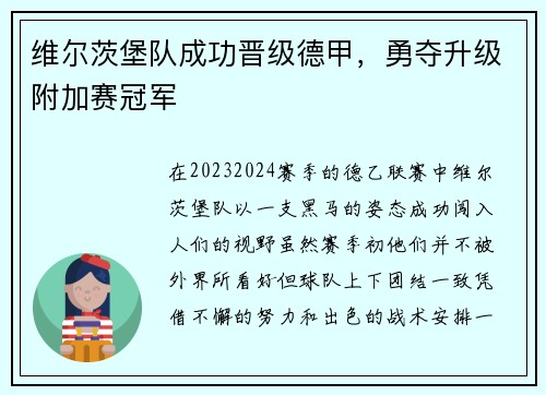 维尔茨堡队成功晋级德甲，勇夺升级附加赛冠军