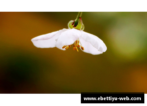 ebet易博体育官方网站繁花似锦，蝶恋花蜂采蜜的多情季节 - 副本