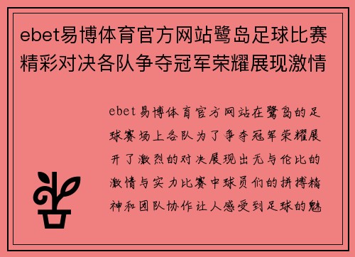 ebet易博体育官方网站鹭岛足球比赛精彩对决各队争夺冠军荣耀展现激情与实力